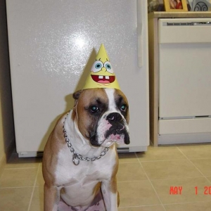 Tyson_s_1_st_B-Day