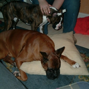 Now listen, kid, the pillow is MINE! Got it?