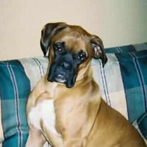 Hammer looking innocent!