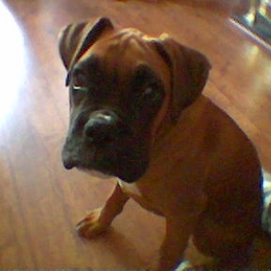 Who Me??????