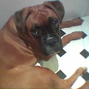 6monthsbath
