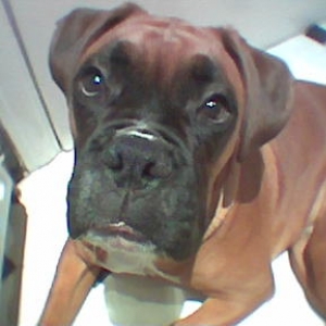 I'm sooooo handsome!