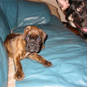 Chillin on the Couch