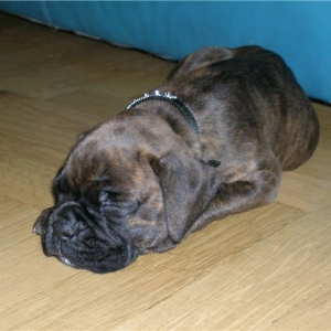Pooped!