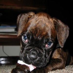 I Know I'm Cute!