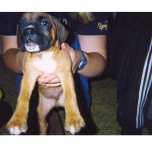 Am I handsome or what?