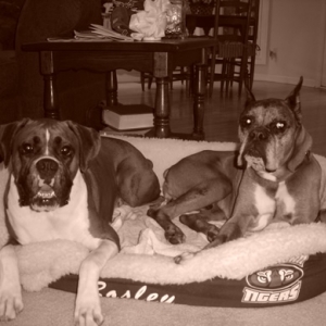 Bosley and Vader