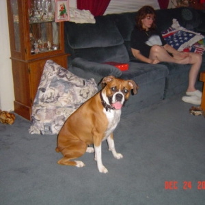 Reba