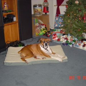 Reba