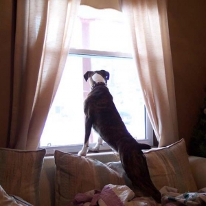 Checking Everything Out
