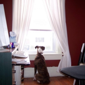 Checking everything out again