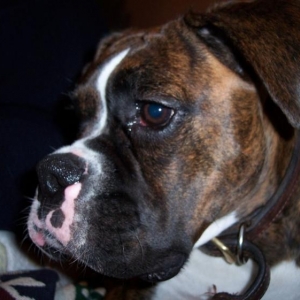 Extreme Close Up