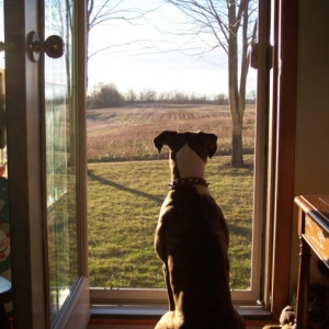 Perfect Form Silhouette