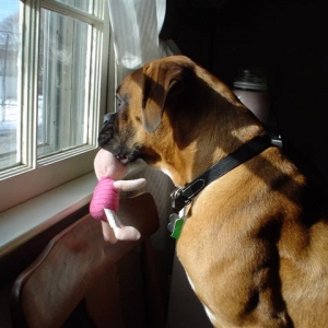 Wrigley and Piglet
