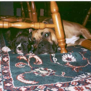 Hugo&Greta
