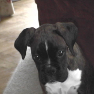 New friend Willow