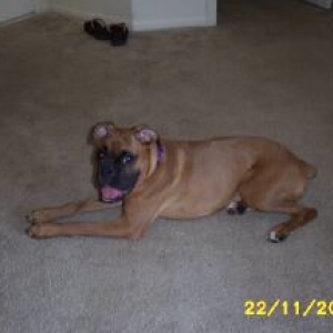 Happy Roxy!