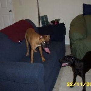 Roxy and her best friend