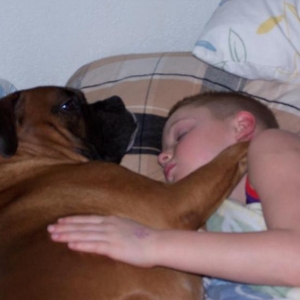 Cuddle Bug