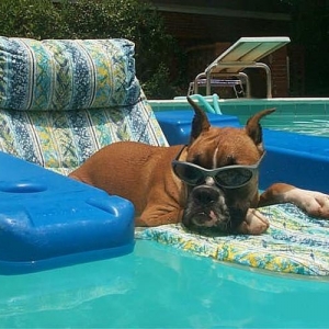 A Day at the pool