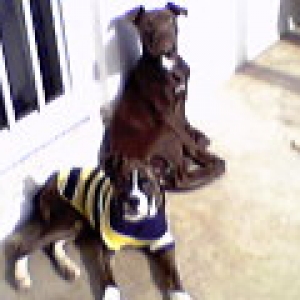 Brandi and her playmate
