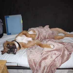 Queen Wrigley