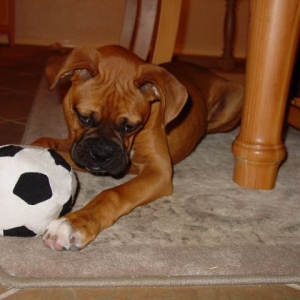 That's enough soccer for now