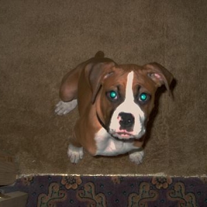 Did you say cookie!