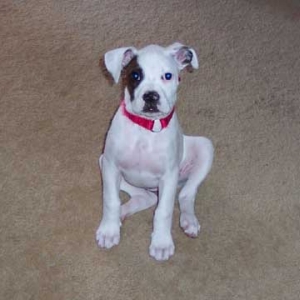 Princess at 3 months old