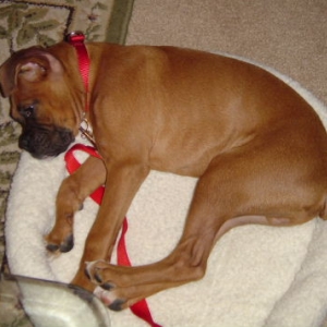 Mack:  Sleeping???
