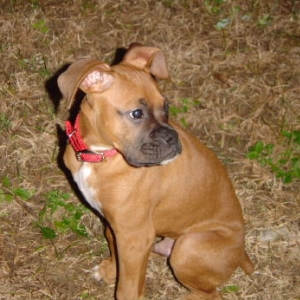 Mack Posing at Night