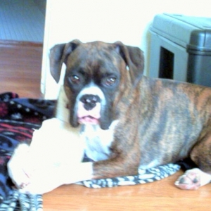 grumpy magoo