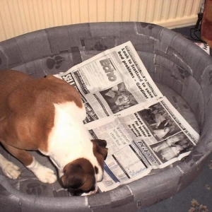 How do you turn the page again mum?