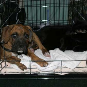Jackson & October sharing a bed.