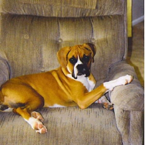 Daddy's chair