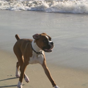 Beach bum