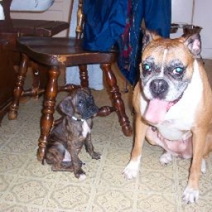 You Got To Be Kidding Mom!