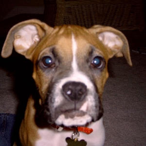 Look at that face!