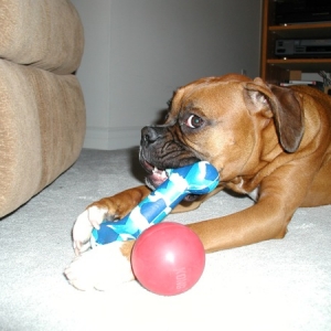 You Lookin? At My Ball?