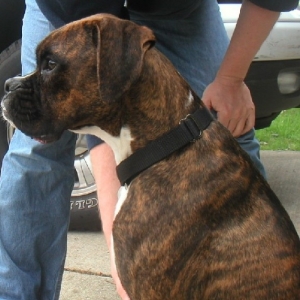 Fenway's Profile