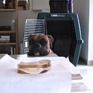 You gonna eat that?!!!!!!!!!!!!!!!!!!!!!!!!