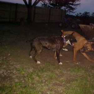 Major and Sas