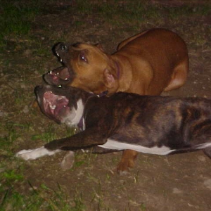 My mouth is bigger