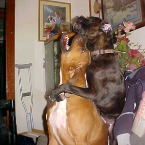 Piggyback ride!