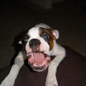 Stop taking my picture!!!