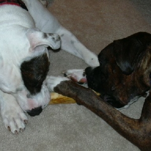 Cant we share?