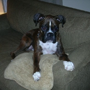 It wasnt me........really!
