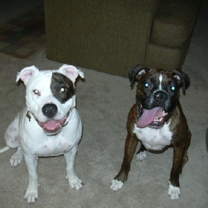 Double Trouble