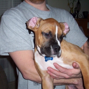 my pretty ears