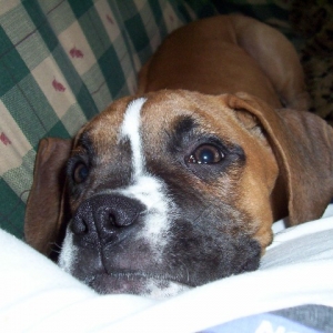 my baby
